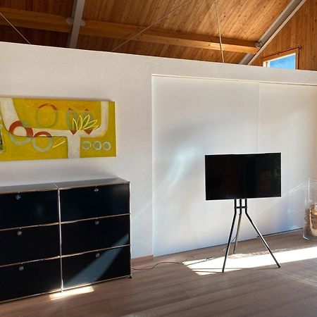 Ferienhaus Sonnenchalet Bodman-Ludwigshafen Extérieur photo